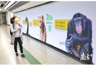 廣州地鐵廣告代理公司該如何選擇？